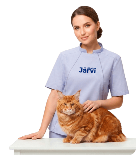 Грумер в брендированной форме Järvi с котом