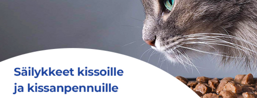 jarvi