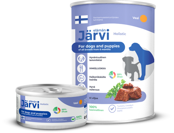 jarvi