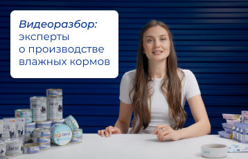 Зачем питомцу влажный корм и как его делают? Собрали самое важное в одном ролике.